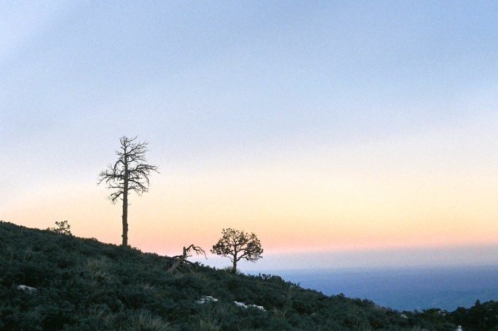 guadalupe peak trail texas