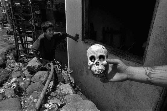 donna de cesare unsettled