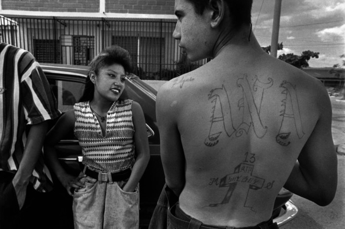 donna de cesare unsettled