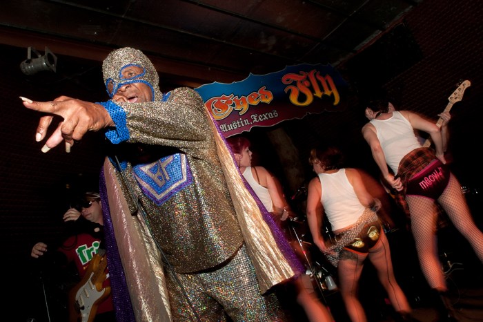 blowfly red eyed fly austin