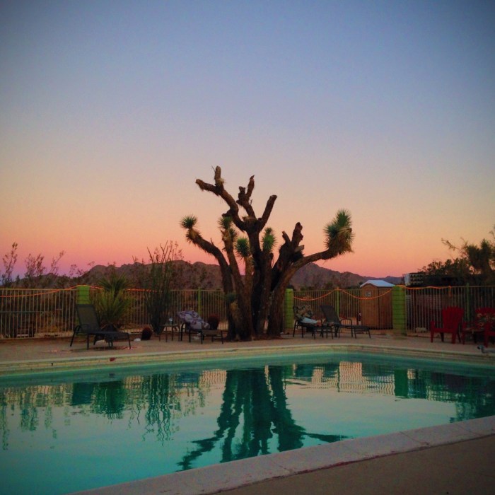 joshua tree inn mike andrick